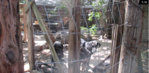 Screen Shot 2016-07-17 at 4.28.30 PM