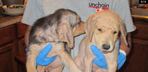 Screen Shot 2016-07-17 at 4.28.43 PM