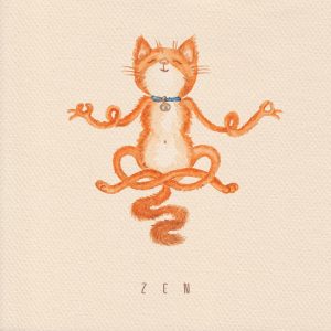 cat-yoga-image