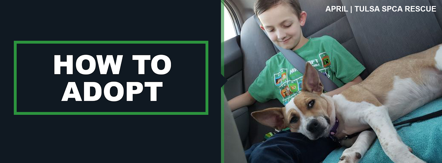 How to Adopt - Tulsa SPCA