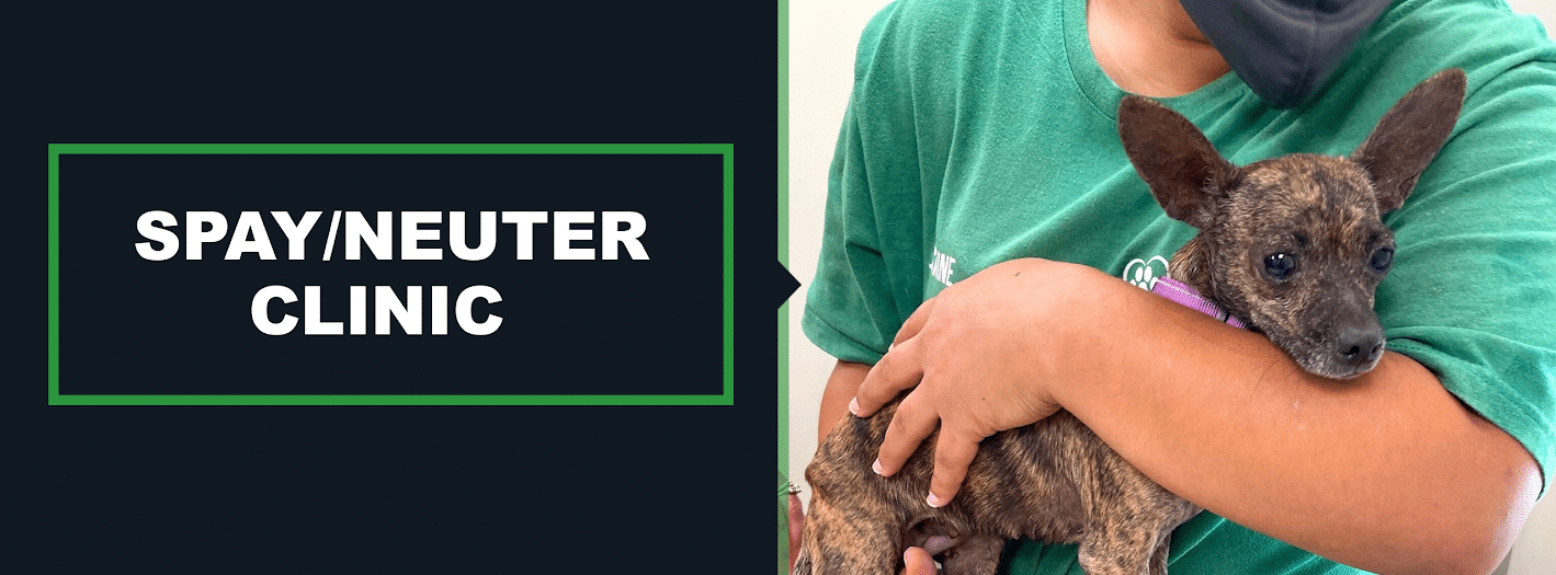 Spay Neuter Tulsa SPCA