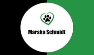 Schmidt
