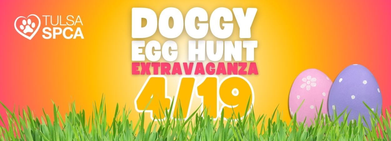 EGG HUNT - Newsletter Banner