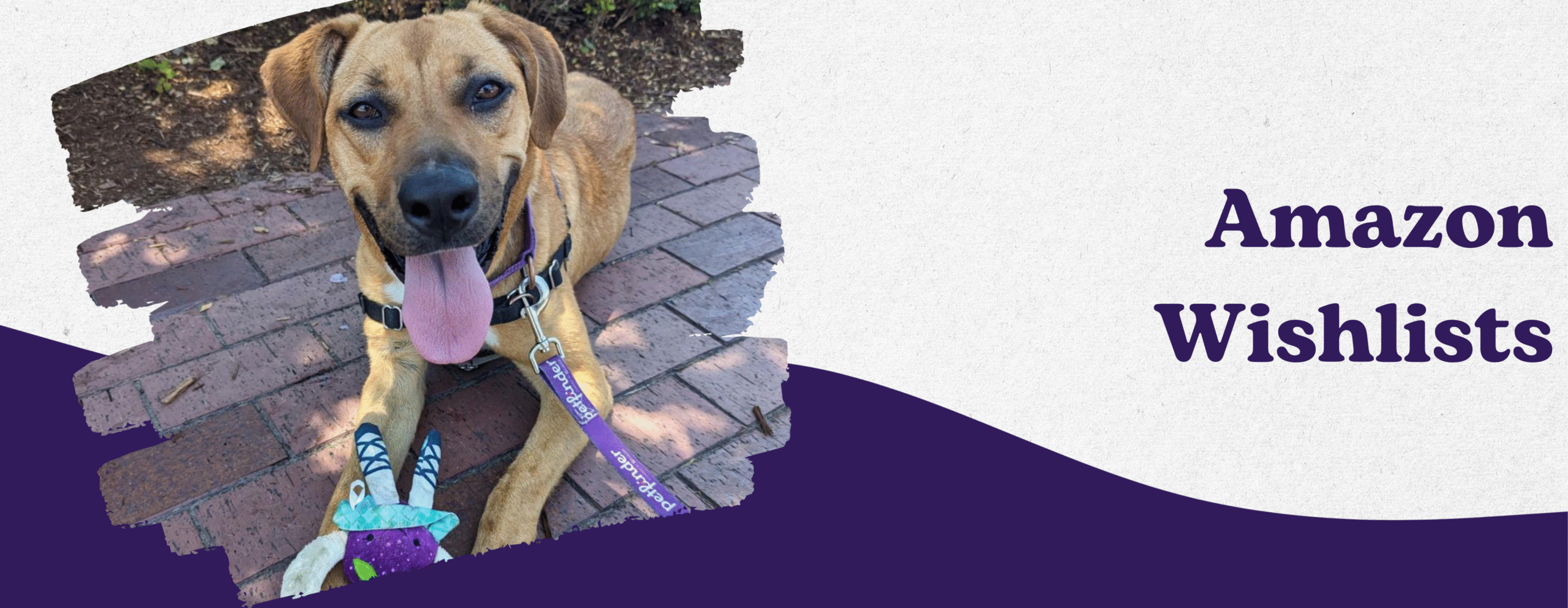 Amazon wishlist header