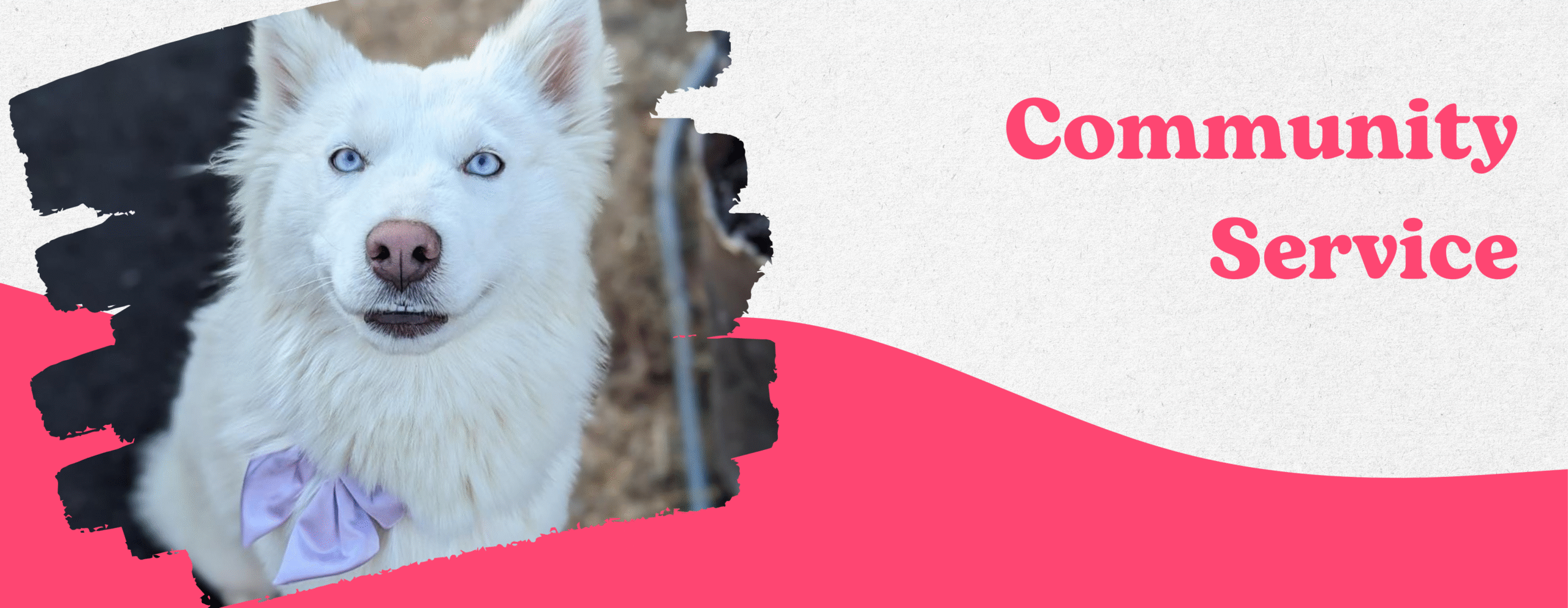 Community service header