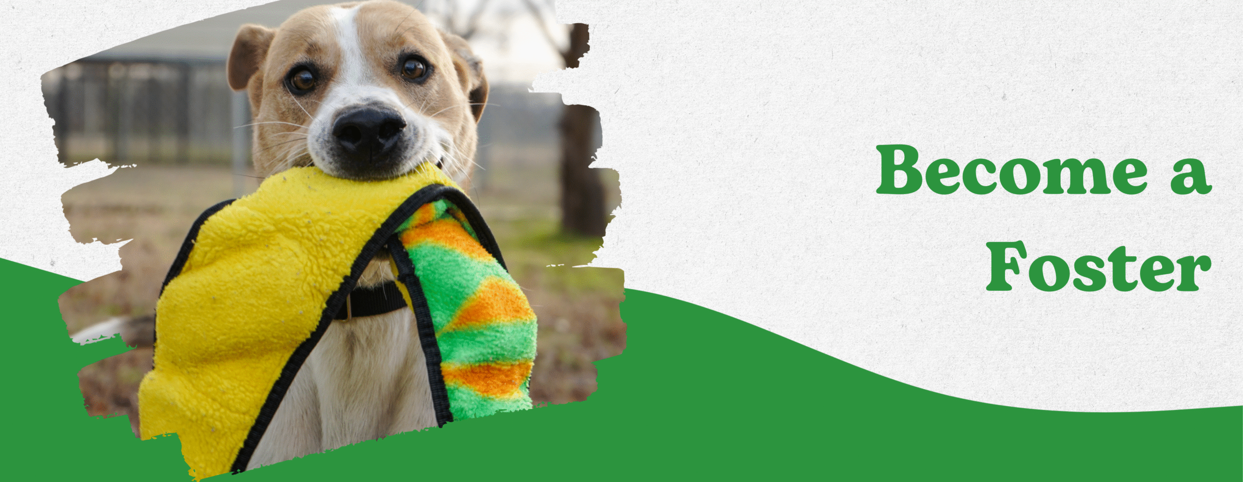 Copy of MAC Web Slider