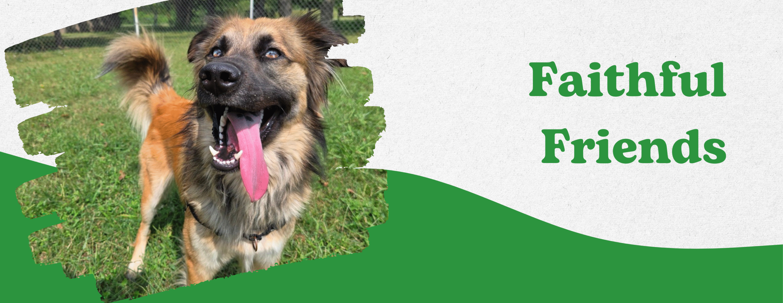 Faithful Friends Header
